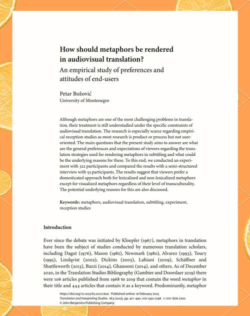 字幕翻译参考文献有哪些？-图1