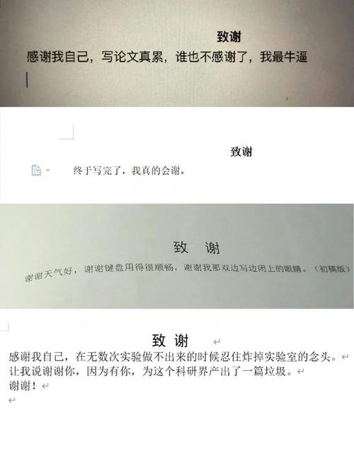 参考文献后面加致谢附录-图2 参考文献后面加致谢附录-图2