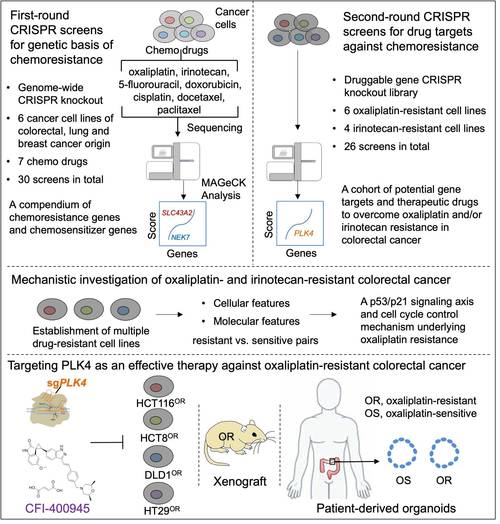 肿瘤学治疗研究有何新突破？-图3