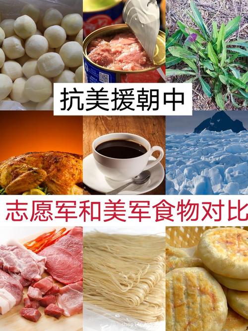国外对中美饮食的研究-图3