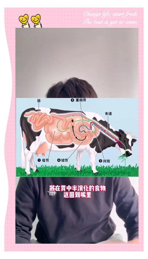 家畜的采食行为参考文献-图2