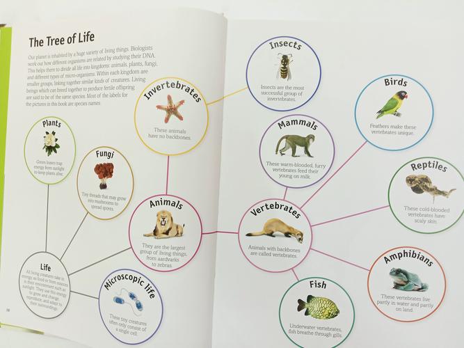 动物外国参考文献有哪些经典研究?-图2 动物外国参考文献有哪些经典研究?-图2