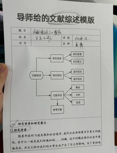 综述的研究意义怎么写-图1