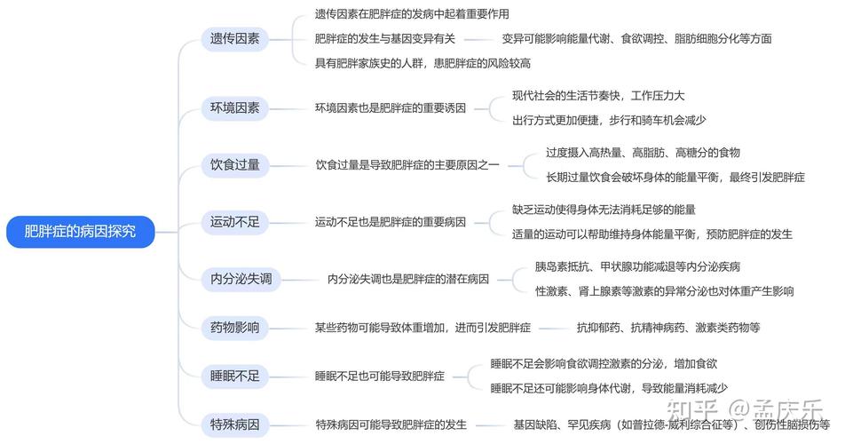 肥胖相关参考文献有哪些关键研究方向？-图1