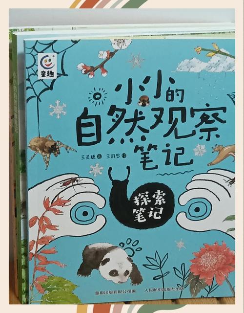 幼儿如何在与自然的互动中成长？-图1
