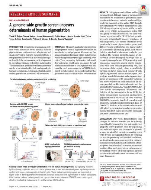 C语言英文参考文献如何查找？-图3