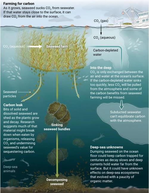 海洋学研究影响因子多少？-图2
