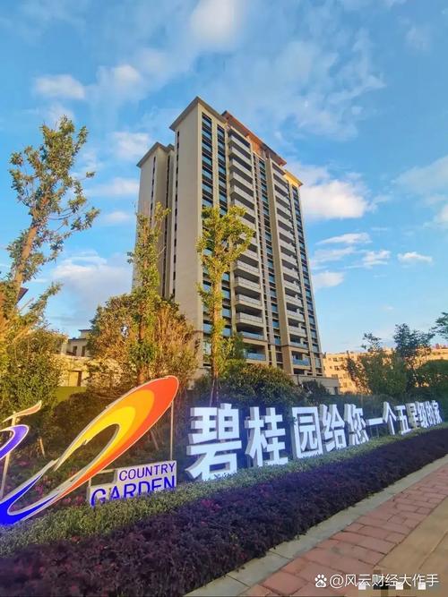 碧桂园现状分析参考文献有哪些？-图2