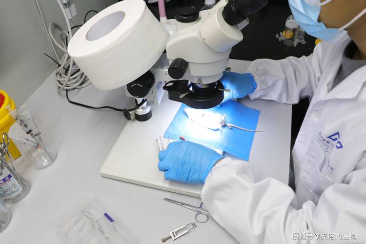 生物技术专利困境,如何平衡保护与共享?-图2 生物技术专利困境,如何平衡保护与共享?-图2