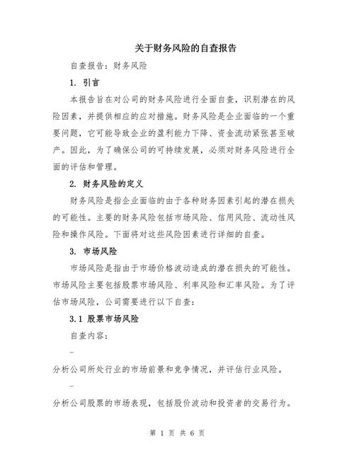 有关财务风险的参考文献-图1