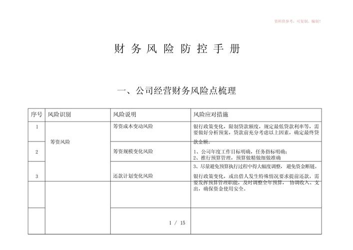 有关财务风险的参考文献-图2