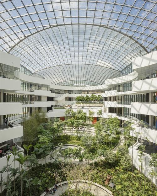 公立园物质环境现状如何？优化方向在哪？-图1