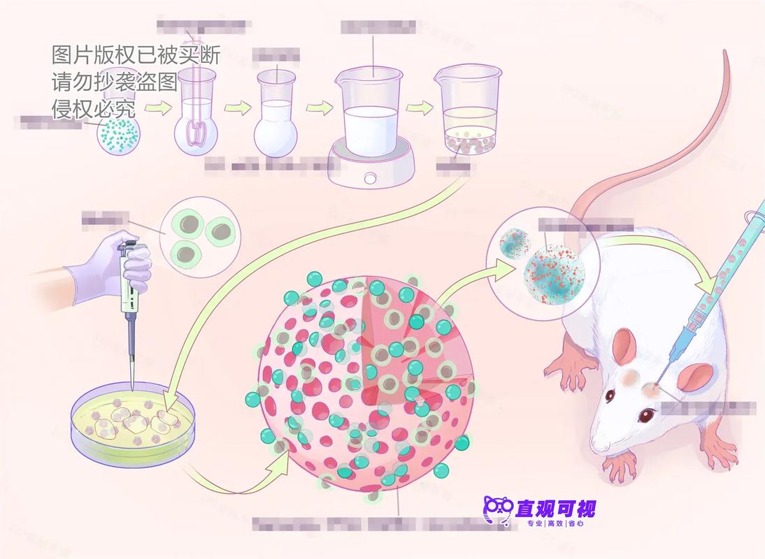 论文动画设计研究方法有哪些关键步骤？-图3