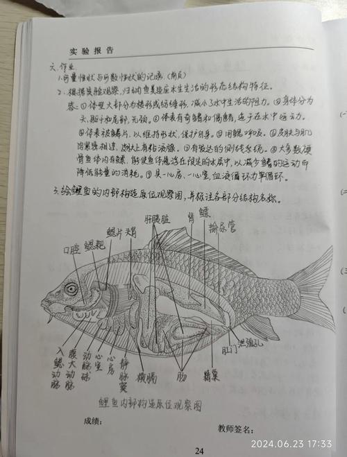 动物繁育新技术有哪些核心突破？-图3