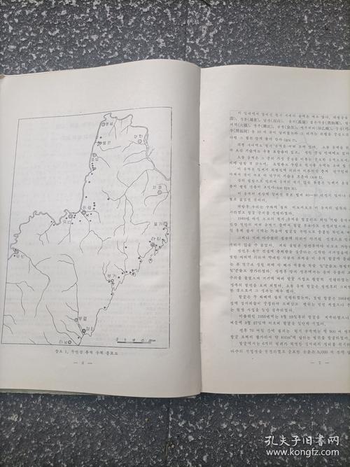 韩国娱乐影响参考文献有哪些关键研究？-图1