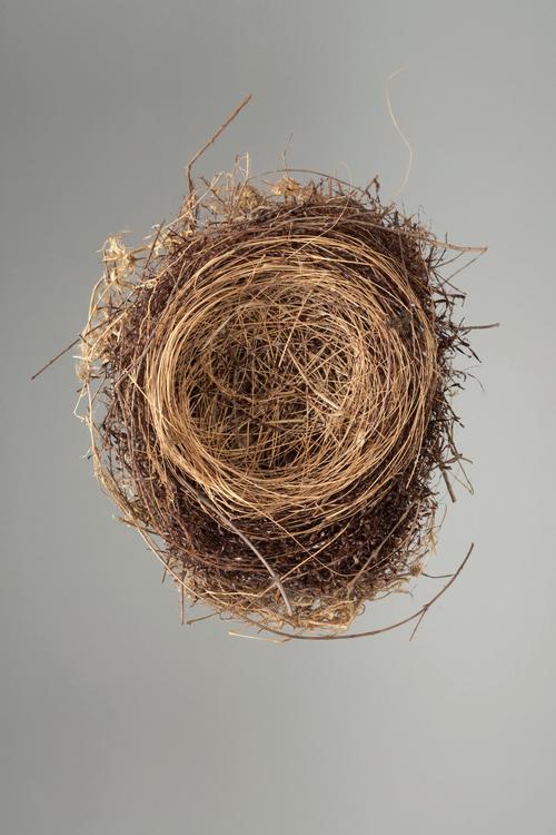 隐喻研究的边界与核心究竟在何处？-图3