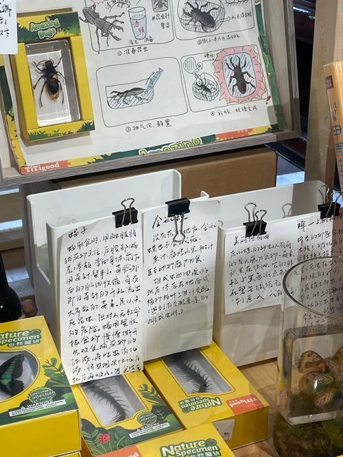 网上书店研究文献聚焦哪些核心问题？-图1