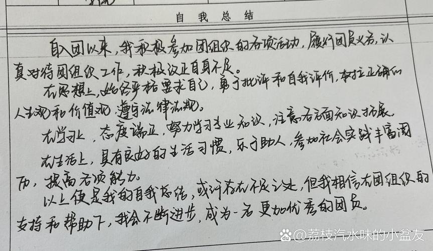 团员教育活动自我评议-图1