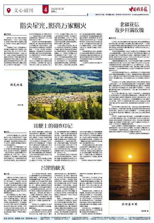 丽江2025参考文献有哪些新方向？-图3