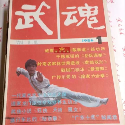 中华武术，传承与发展的现实路径何在？-图3