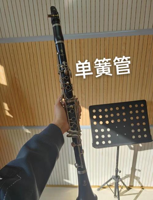单簧管参考文献有哪些经典著作？-图1