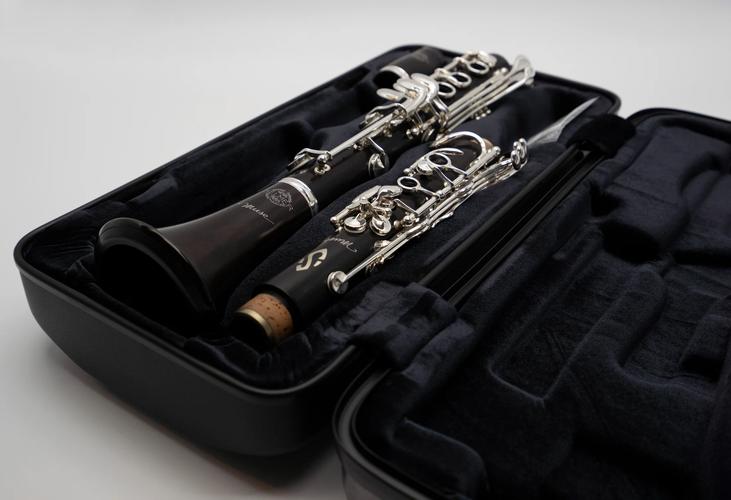 单簧管参考文献有哪些经典著作？-图2