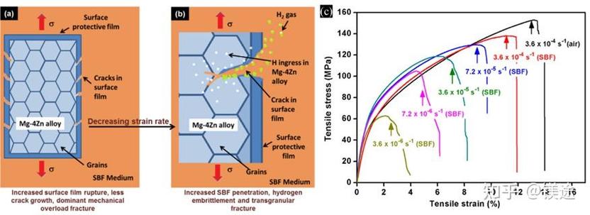 为何研究镁合金腐蚀如此重要？-图1