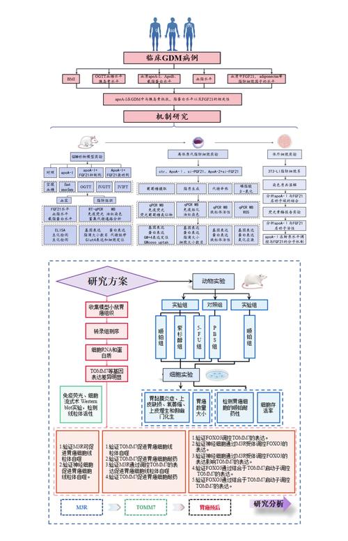 论文研究思路怎么画？-图1