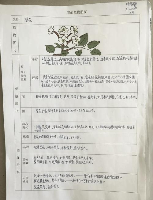 西北植物学报具体聚焦哪些植物研究方向？-图1