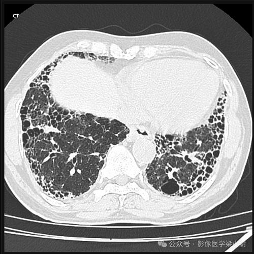 摄影影像参考文献有哪些经典推荐？-图1