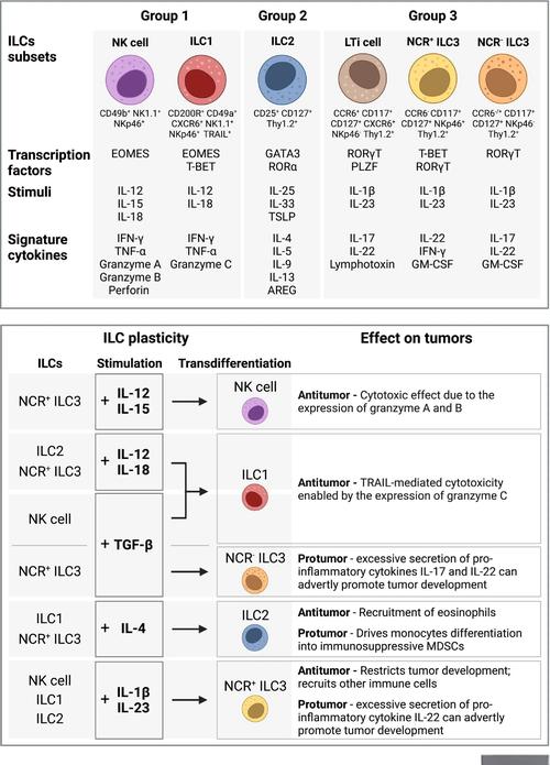 Cell参考文献格式怎么写？-图3