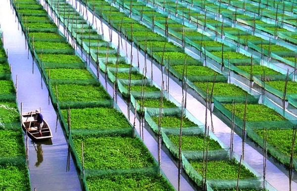 绿色教育宣讲活动如何有效开展？-图2