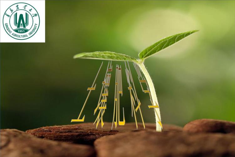 绿色教育宣讲活动如何有效开展？-图3