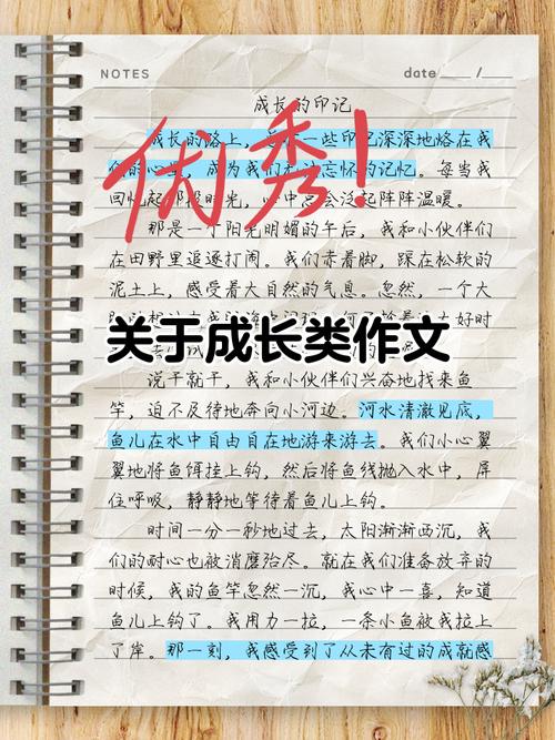 生长教育美术活动如何促进儿童成长？-图2