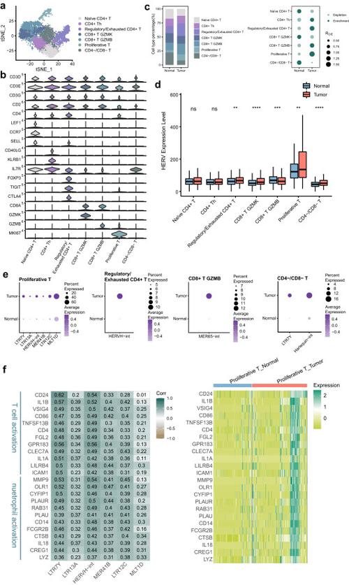参考文献EB/OL是什么？-图3