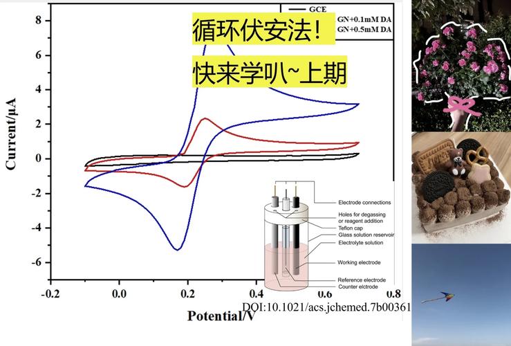 修饰电极的研究及应用-图2