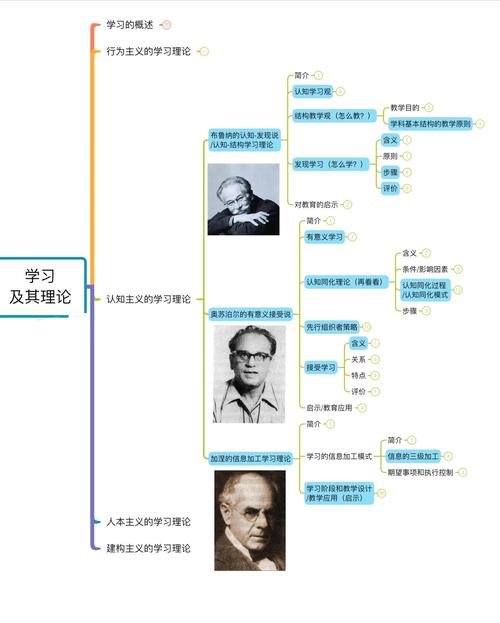 人文主义基本研究方式-图3