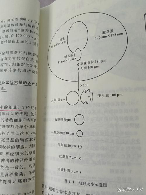 环境微生物学参考文献有哪些经典著作？-图3