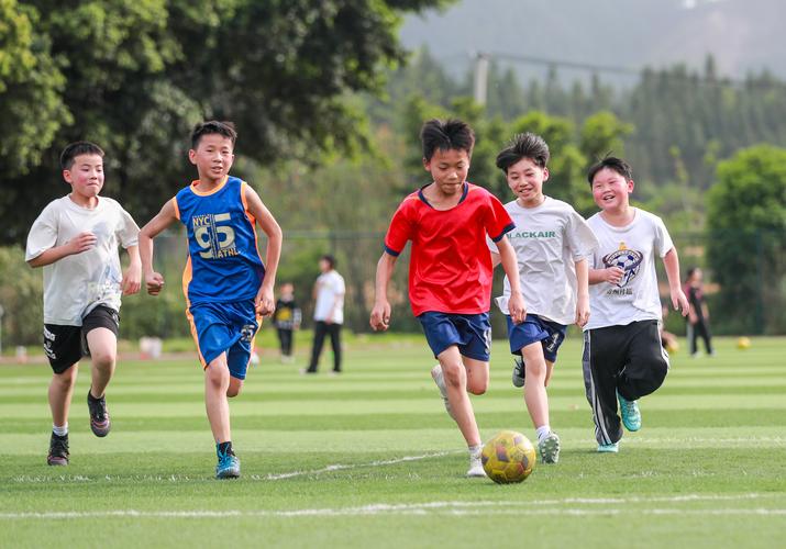 国外校园足球研究现状如何?-图1 国外校园足球研究现状如何?-图1