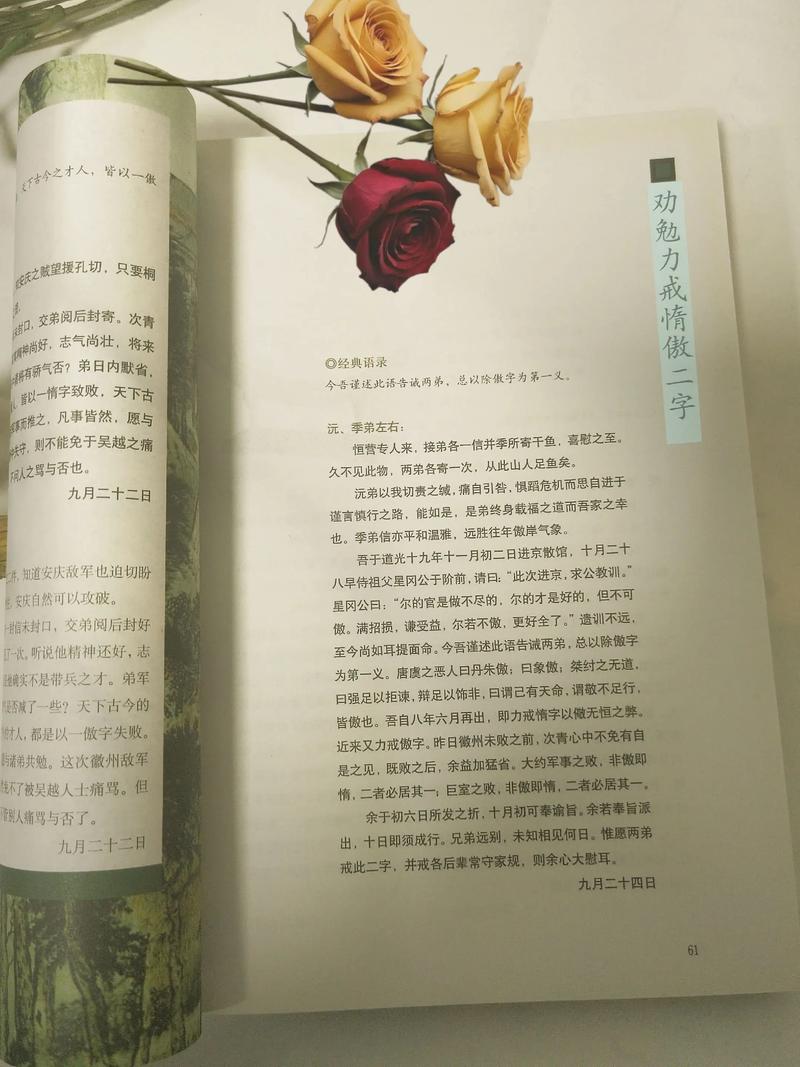 曾国藩教育思想核心是什么？-图2