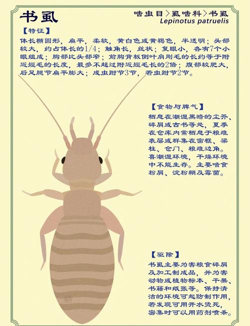 寄生虫课外书参考文献有哪些推荐？-图1