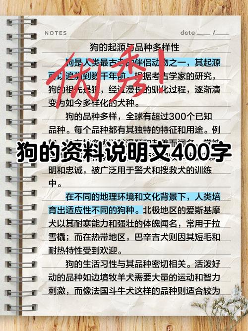 狗的电影论文研究聚焦哪些文化隐喻？-图1