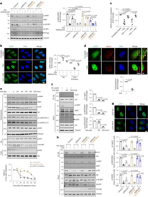 万福生科国外参考文献有何价值或启示？-图2