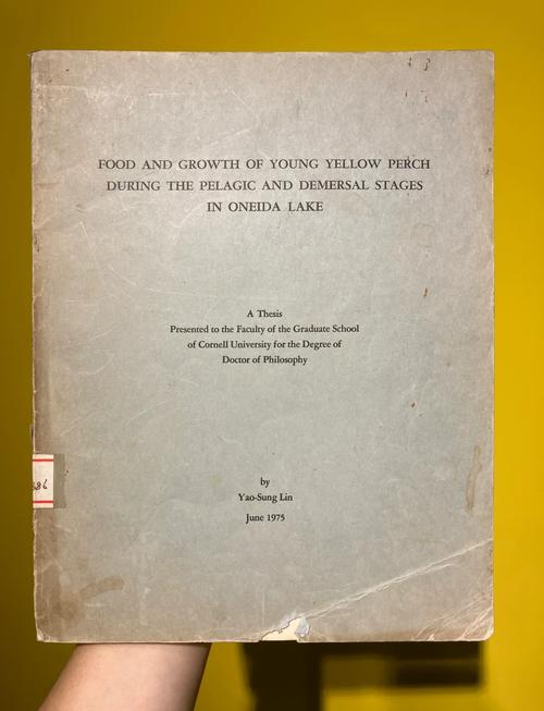 万福生科国外参考文献有何价值或启示？-图3