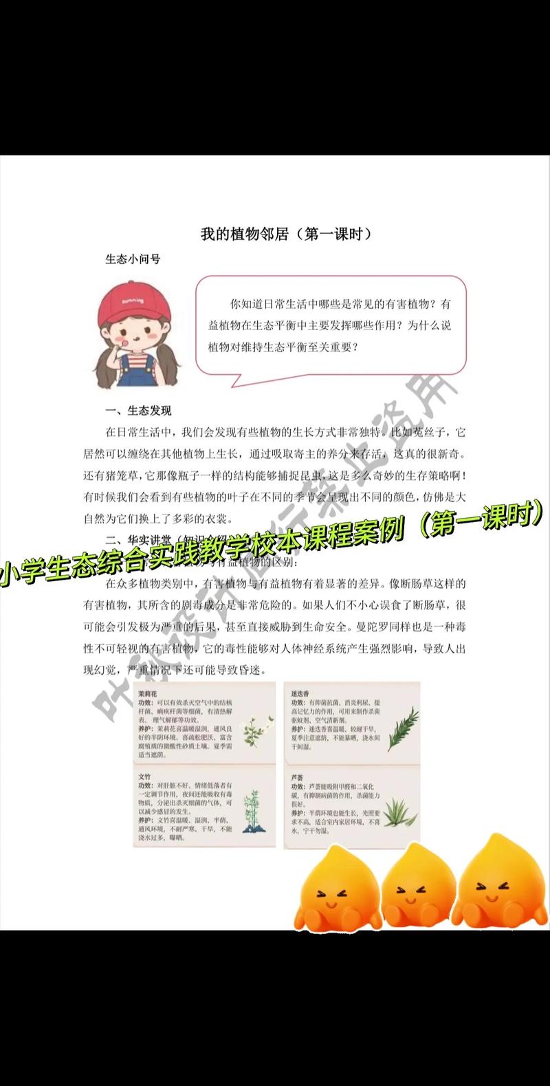 小学环境教育专题教案如何有效实施？-图3