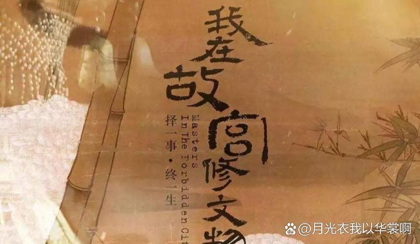 博物馆纪录片参考文献有哪些？-图2