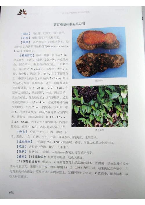 新奇特农产品有哪些参考文献值得参考？-图1