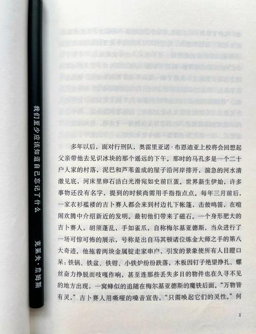 百年孤独论文参考文献有哪些经典来源？-图1