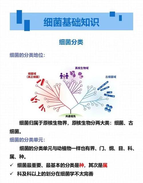 菌物研究所为何重要？-图1